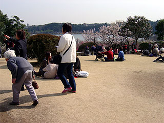 水戸の日