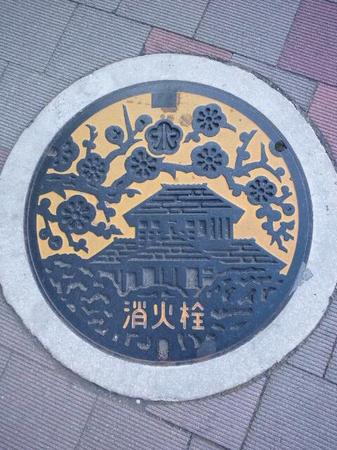 水戸市のシンボル梅がデザインされたマンホール